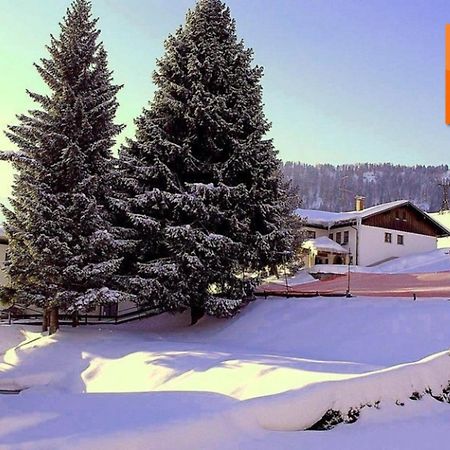 Appartement Nr 19, Alpenappartementhaus, Oberstaufen-Steibis, Allgaeu, Oberstaufen Plus Exterior foto